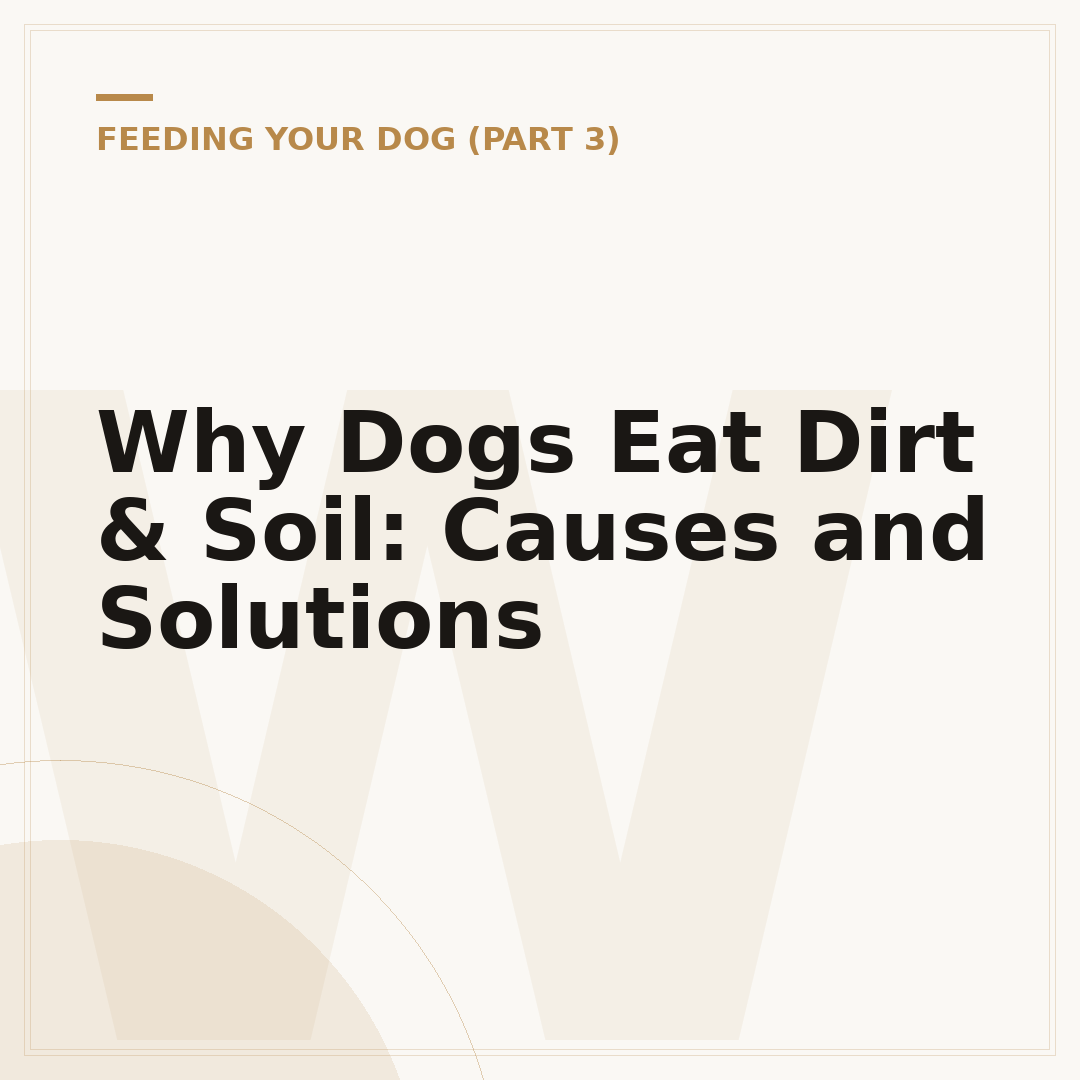 Why Dogs Eat Dirt & Soil: Causes and Solutions