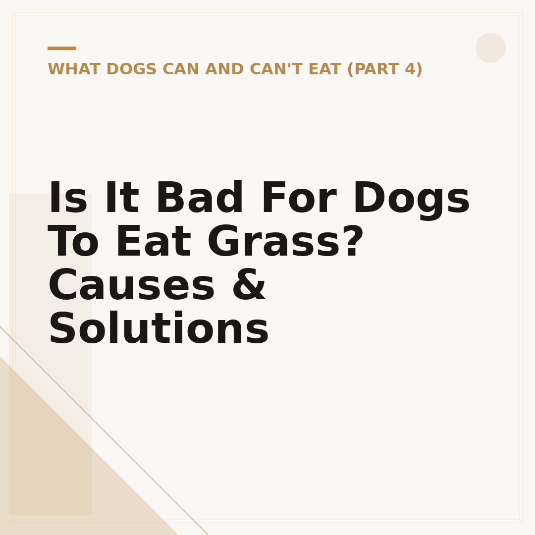 Is It Bad For Dogs To Eat Grass? Causes & Solutions