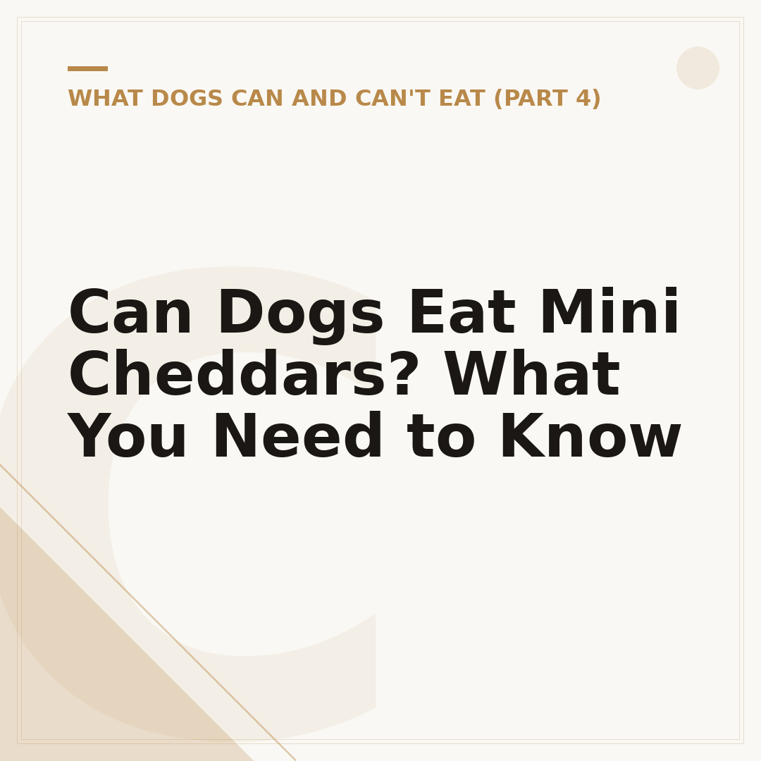 Can Dogs Eat Mini Cheddars? What You Need to Know