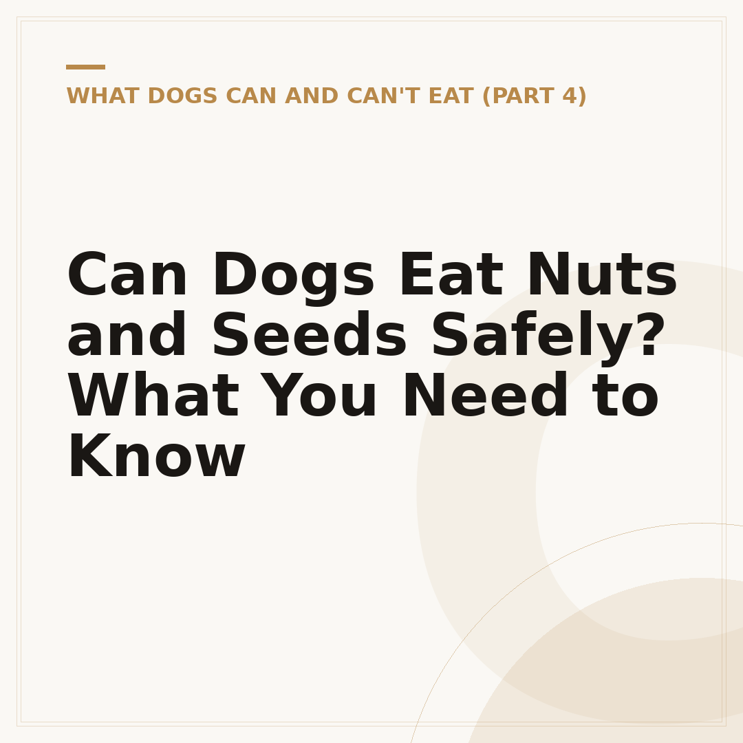 Can Dogs Eat Nuts and Seeds Safely? What You Need to Know