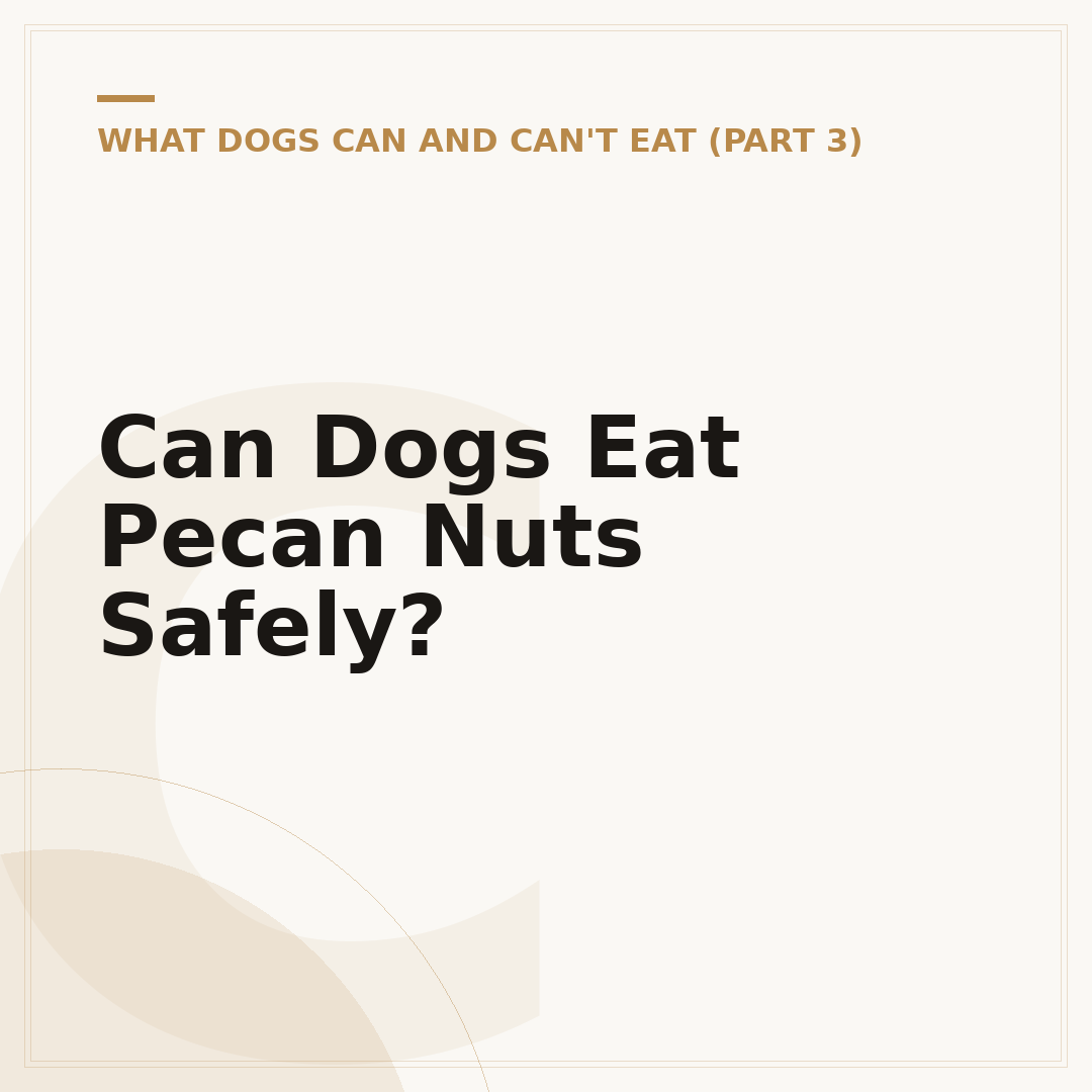 Can Dogs Eat Pecan Nuts Safely?