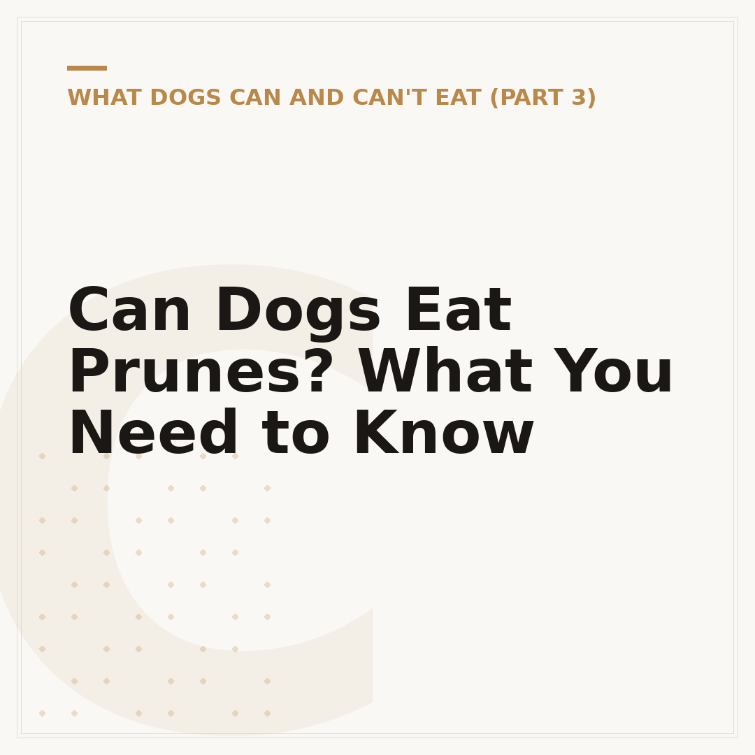 Can Dogs Eat Prunes? What You Need to Know