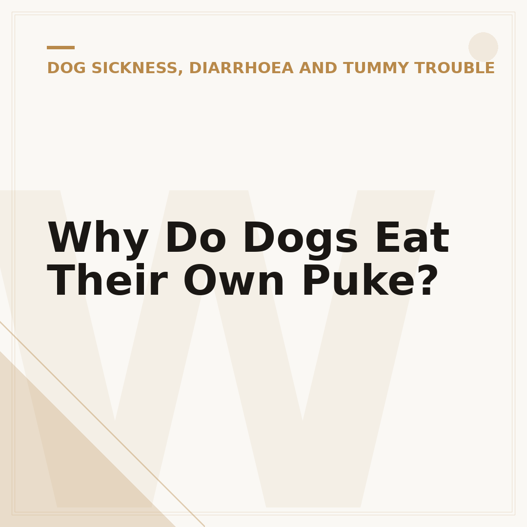 Why Do Dogs Eat Their Own Puke?