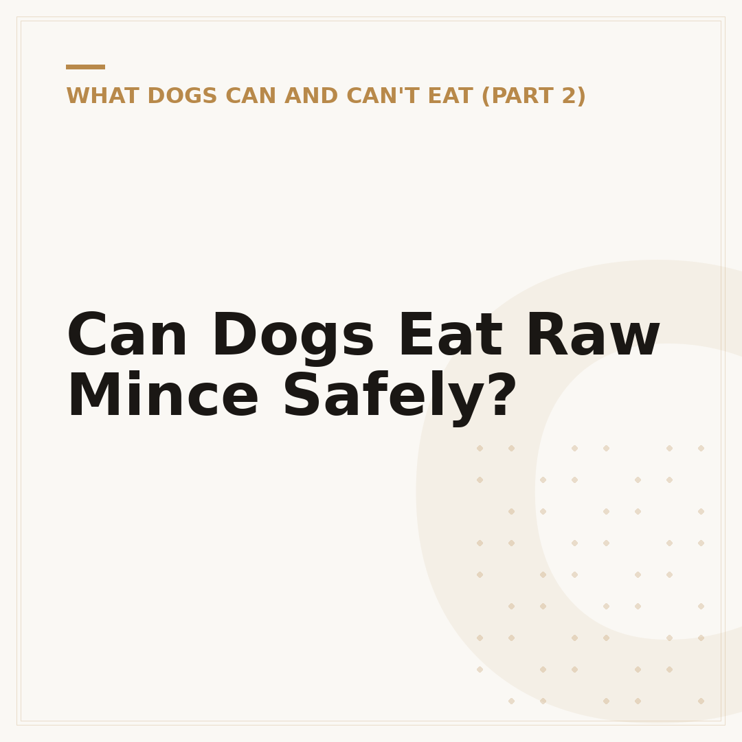 Can Dogs Eat Raw Mince Safely?