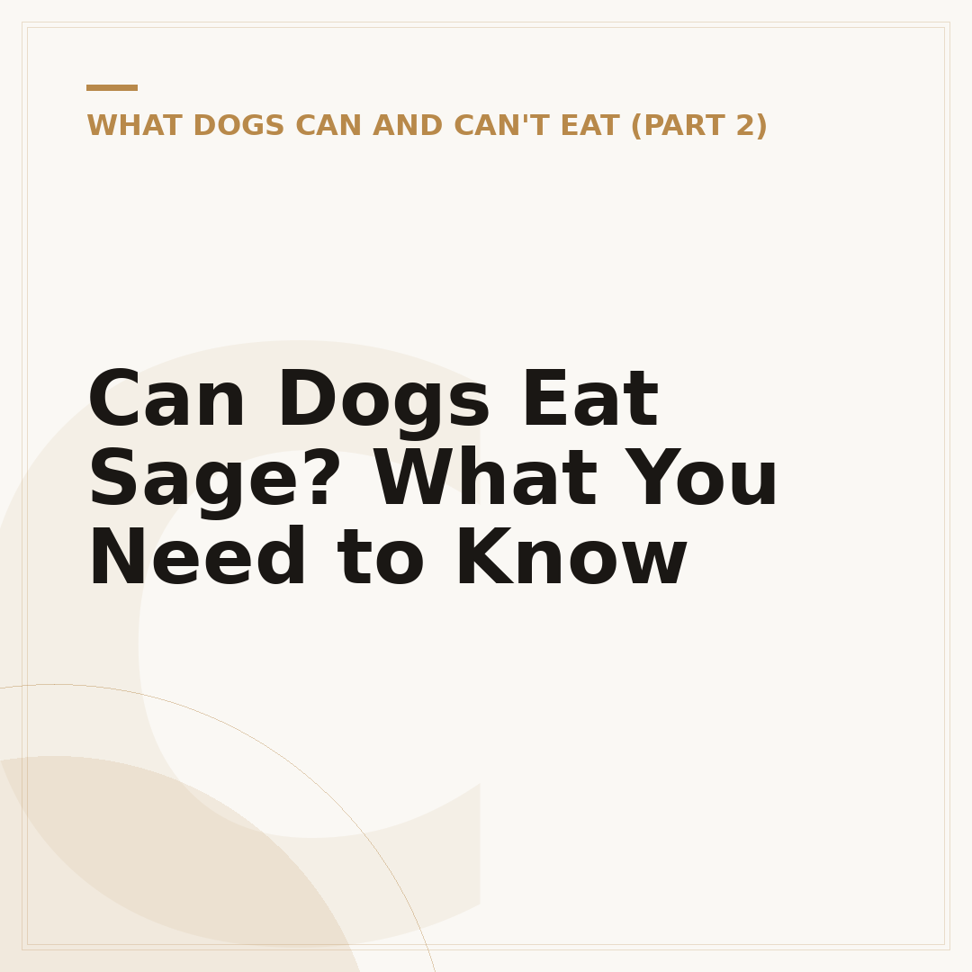 Can Dogs Eat Sage? What You Need to Know