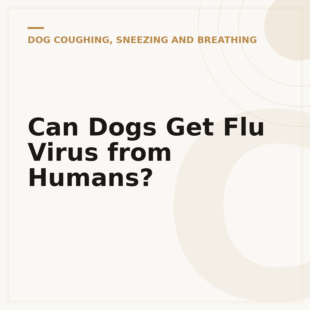 Can Dogs Get Flu Virus from Humans?