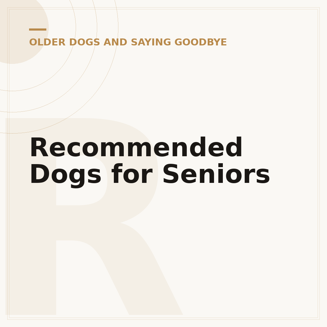 Recommended Dogs for Seniors