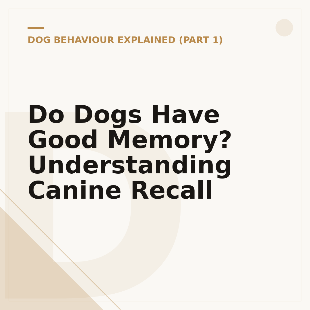 Do Dogs Have Good Memory? Understanding Canine Recall