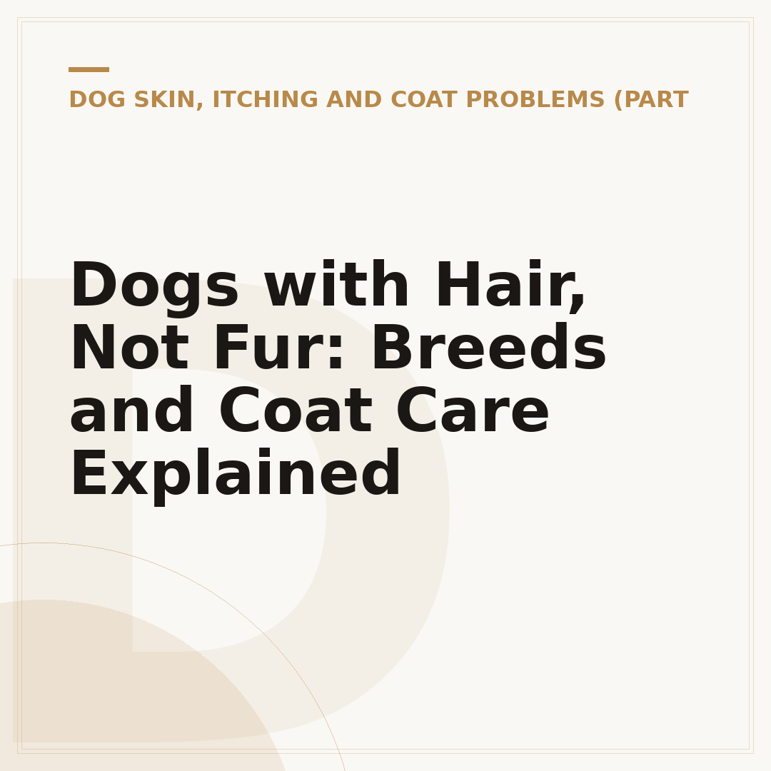 Dogs with Hair, Not Fur: Breeds and Coat Care Explained