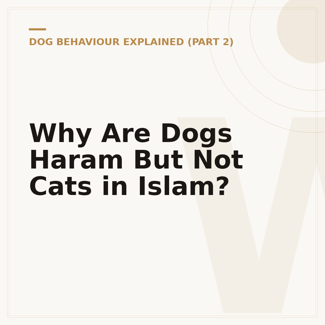 Why Are Dogs Haram But Not Cats in Islam?