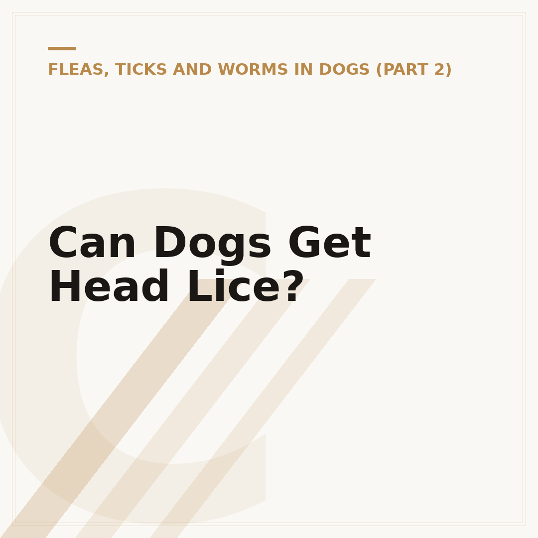 Can Dogs Get Head Lice?