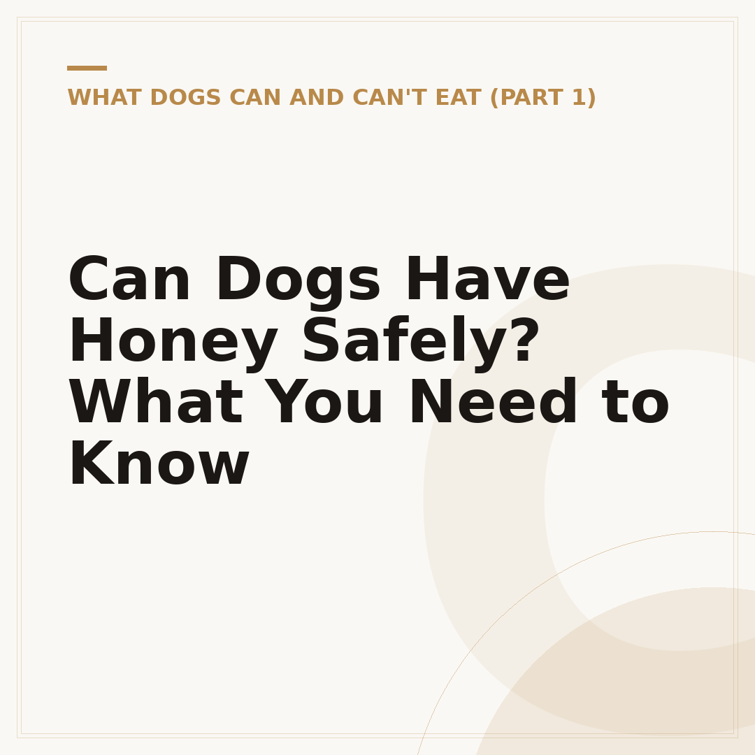 Can Dogs Have Honey Safely? What You Need to Know