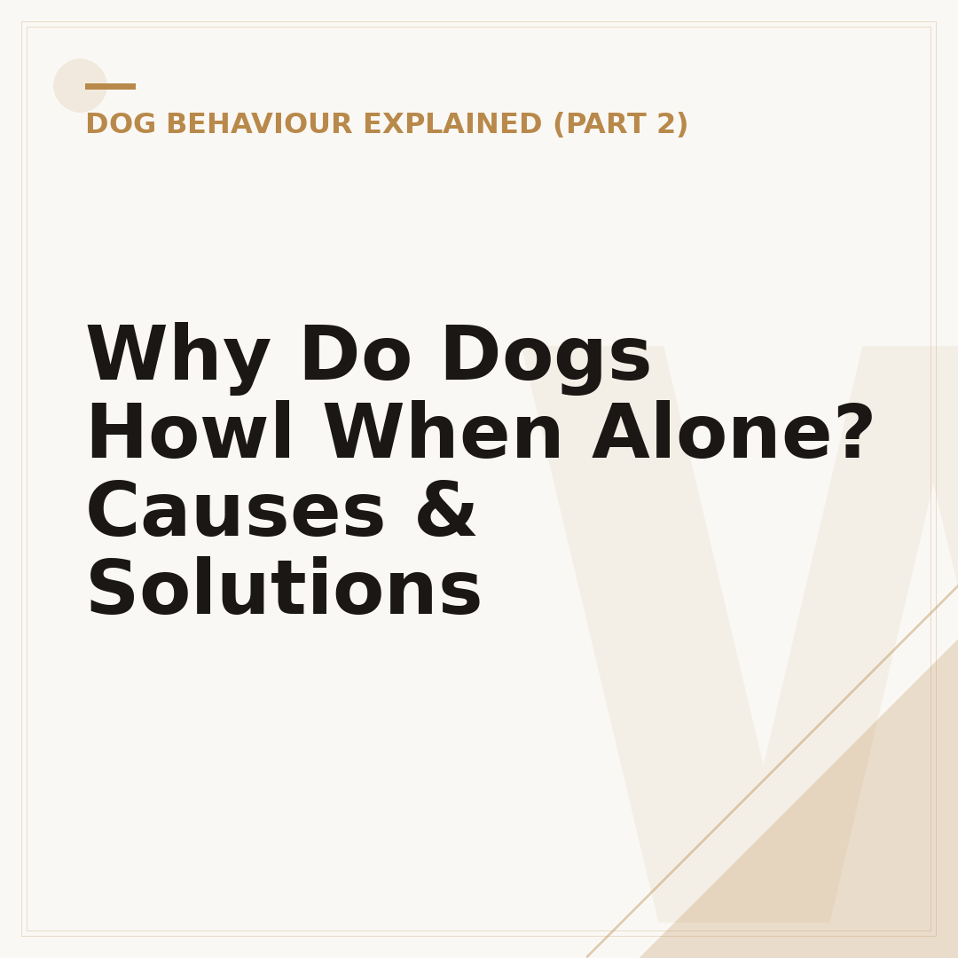 Why Do Dogs Howl When Alone? Causes & Solutions