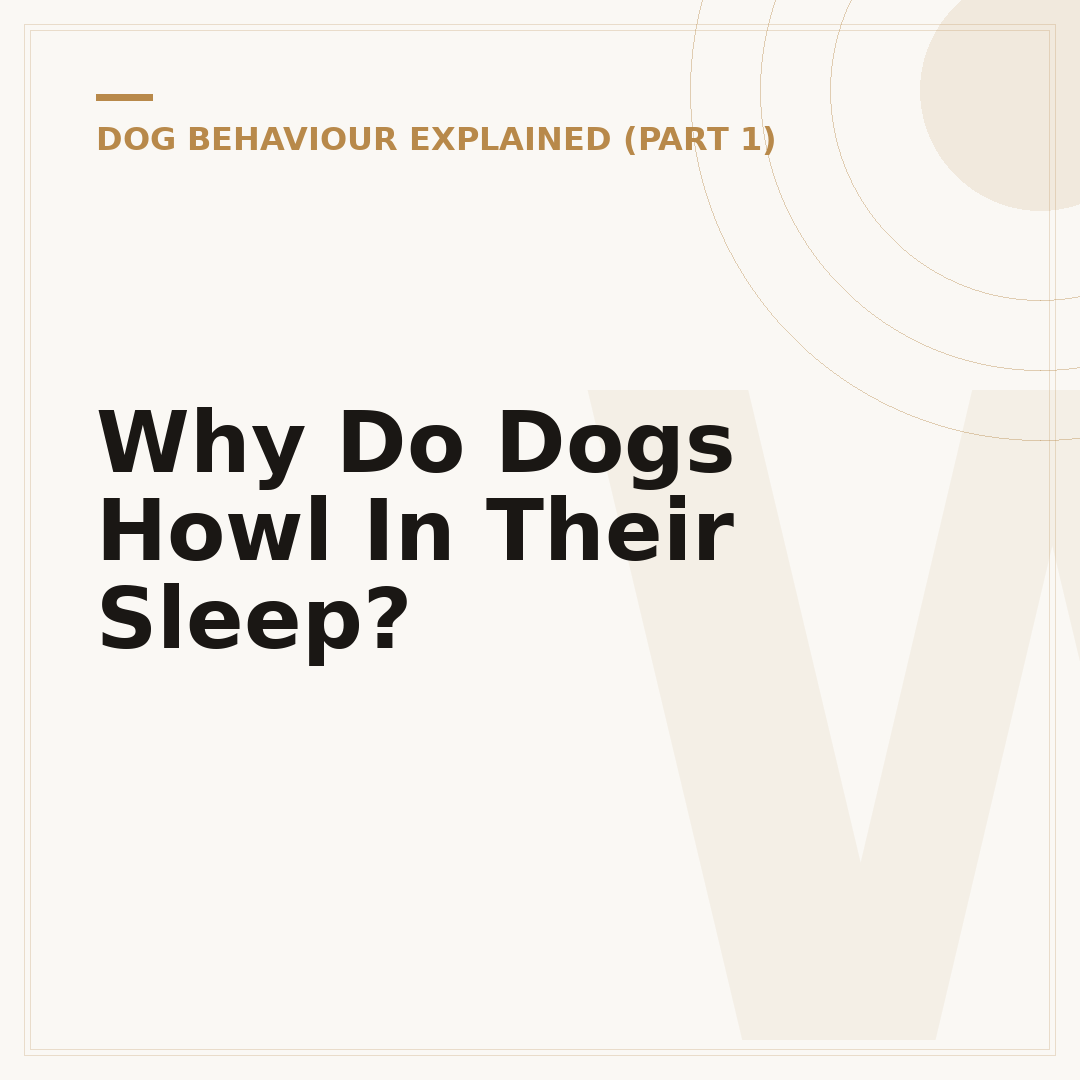 Why Do Dogs Howl In Their Sleep?