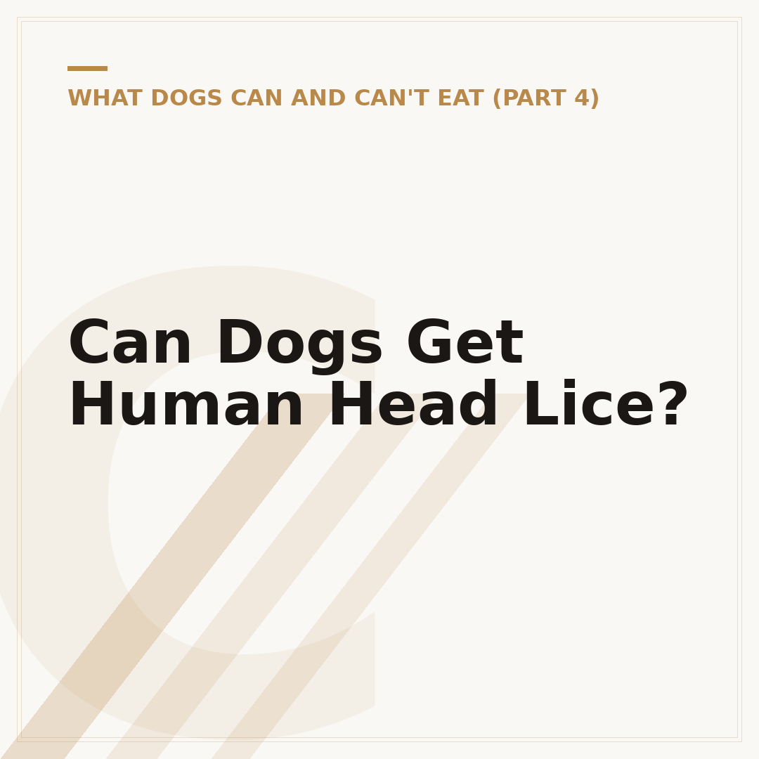 Can Dogs Get Human Head Lice?