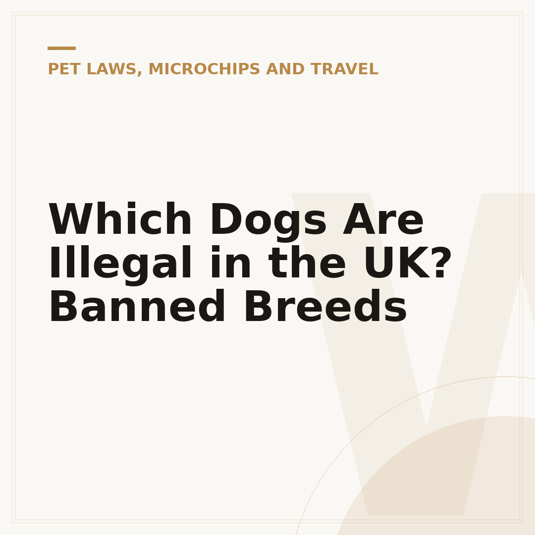 Which Dogs Are Illegal in the UK? Banned Breeds