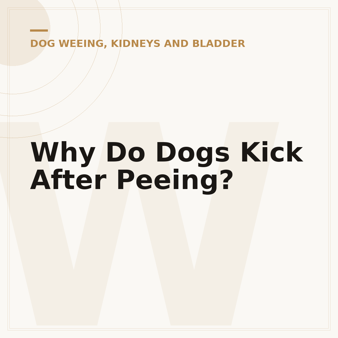 Why Do Dogs Kick After Peeing?