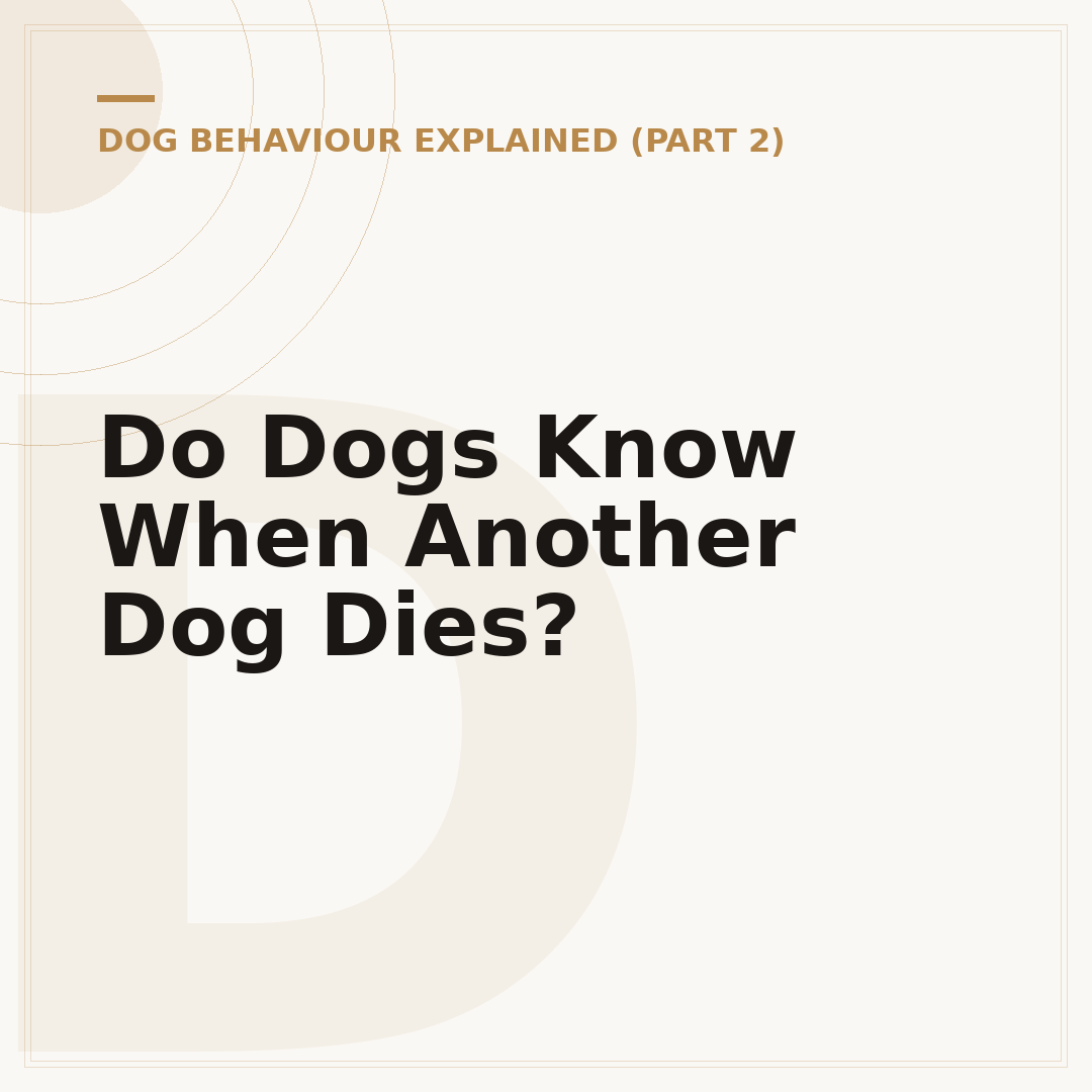 Do Dogs Know When Another Dog Dies?