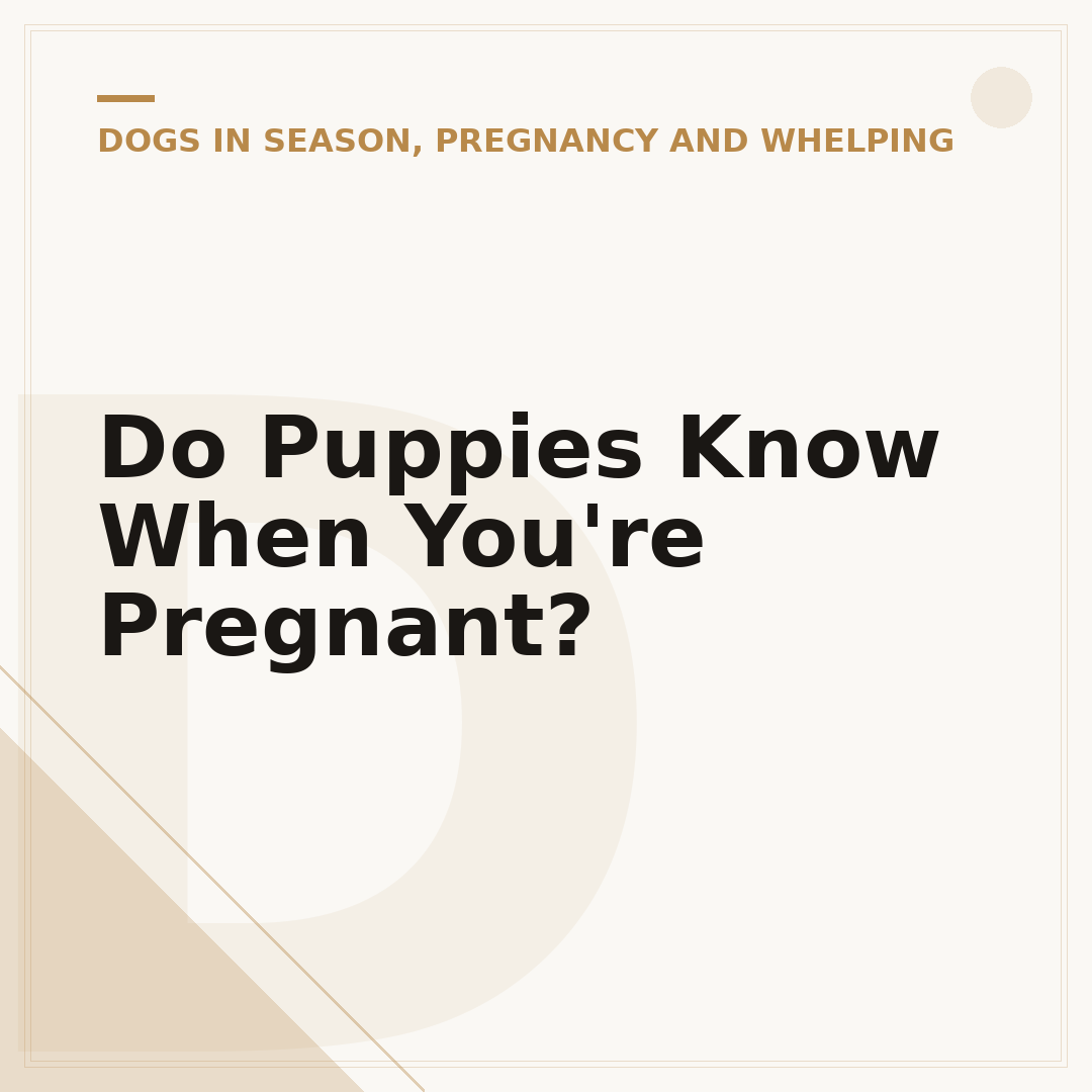 Do Puppies Know When You're Pregnant?