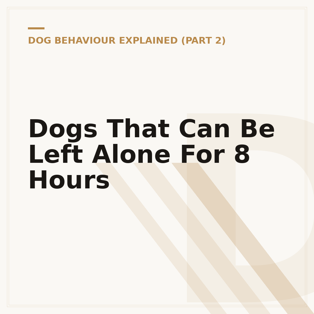 Dogs That Can Be Left Alone For 8 Hours