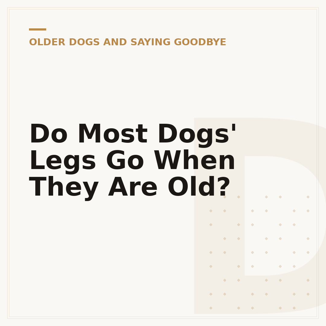 Do Most Dogs' Legs Go When They Are Old?