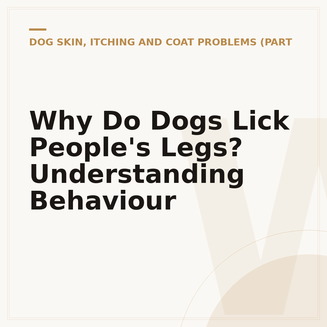 Why Do Dogs Lick People's Legs? Understanding Behaviour