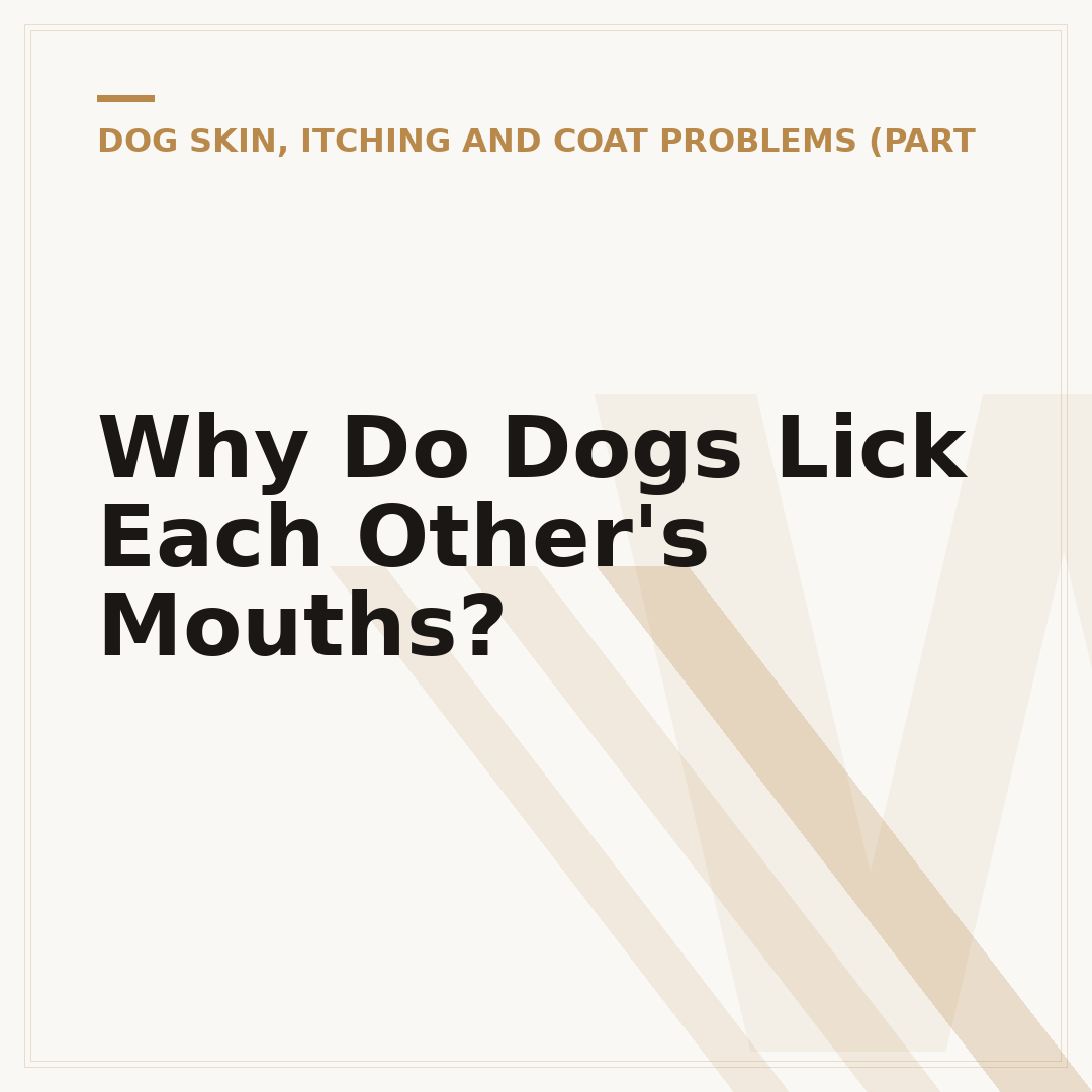 Why Do Dogs Lick Each Other's Mouths?