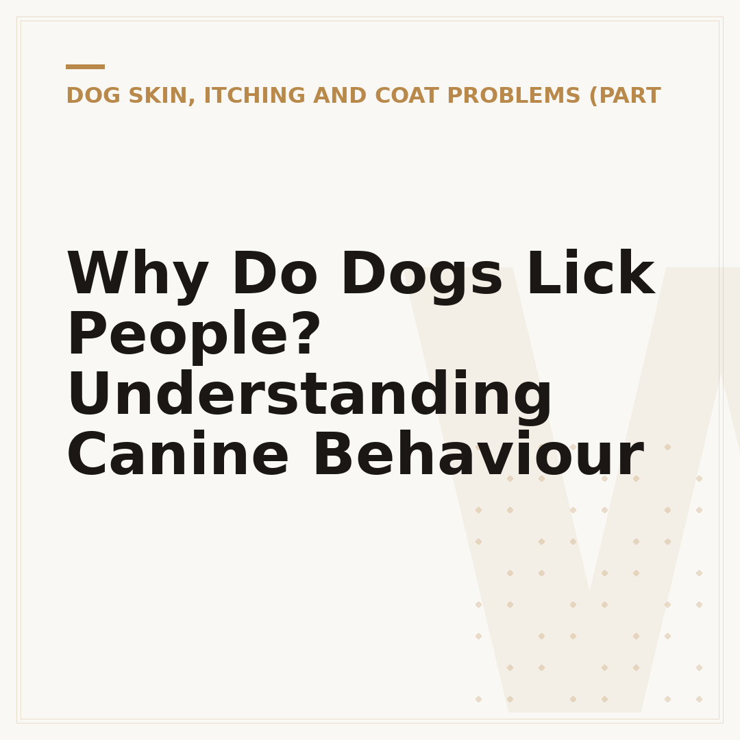 Why Do Dogs Lick People? Understanding Canine Behaviour