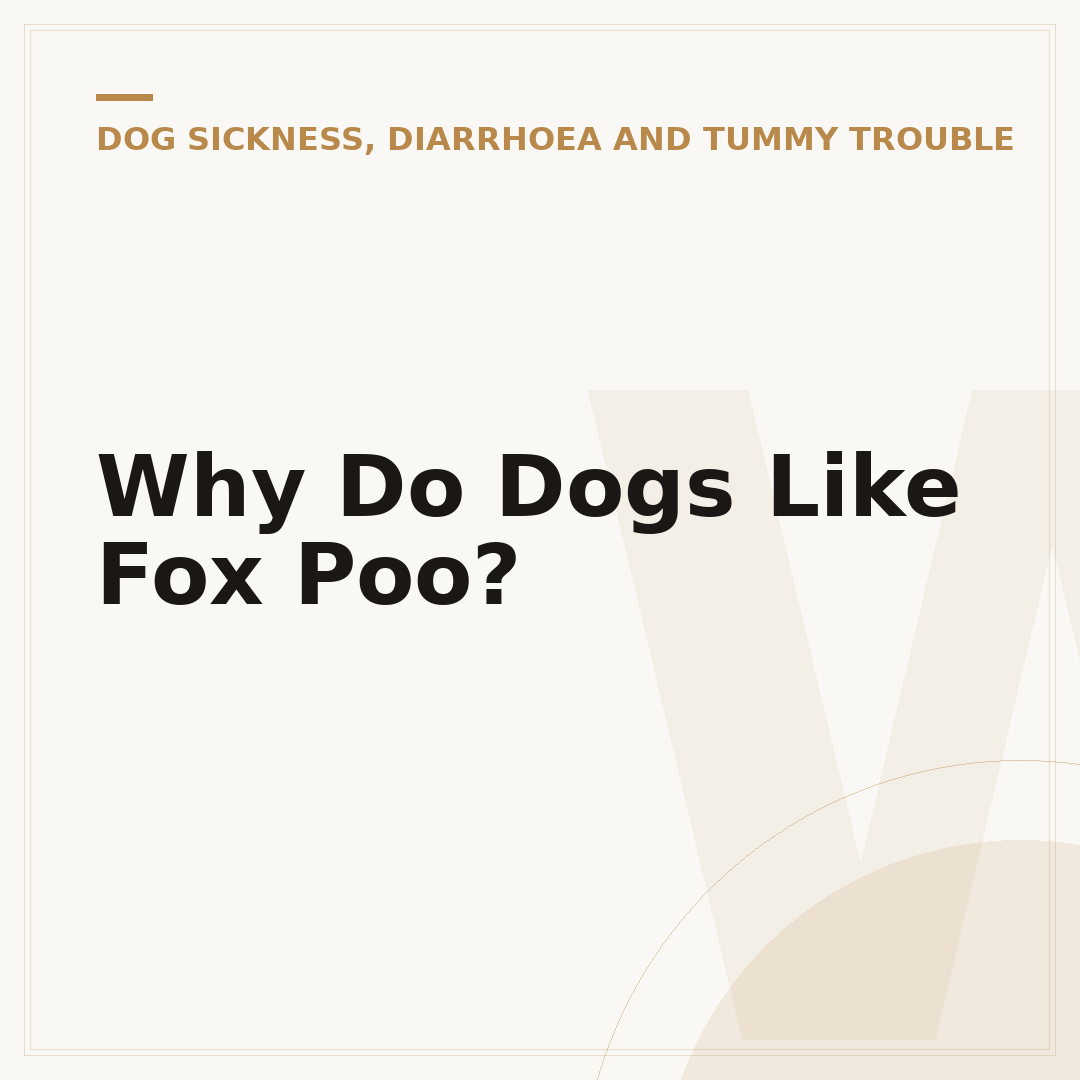 Why Do Dogs Like Fox Poo?
