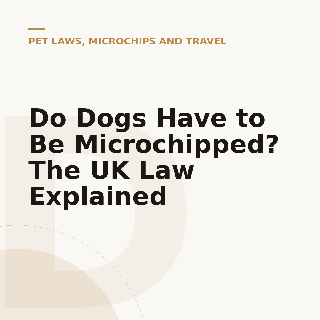 Do Dogs Have to Be Microchipped? The UK Law Explained