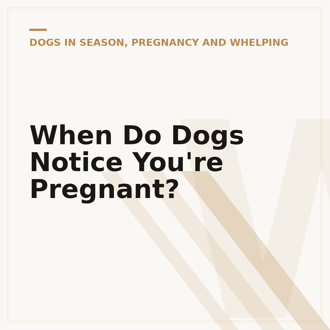 When Do Dogs Notice You're Pregnant?