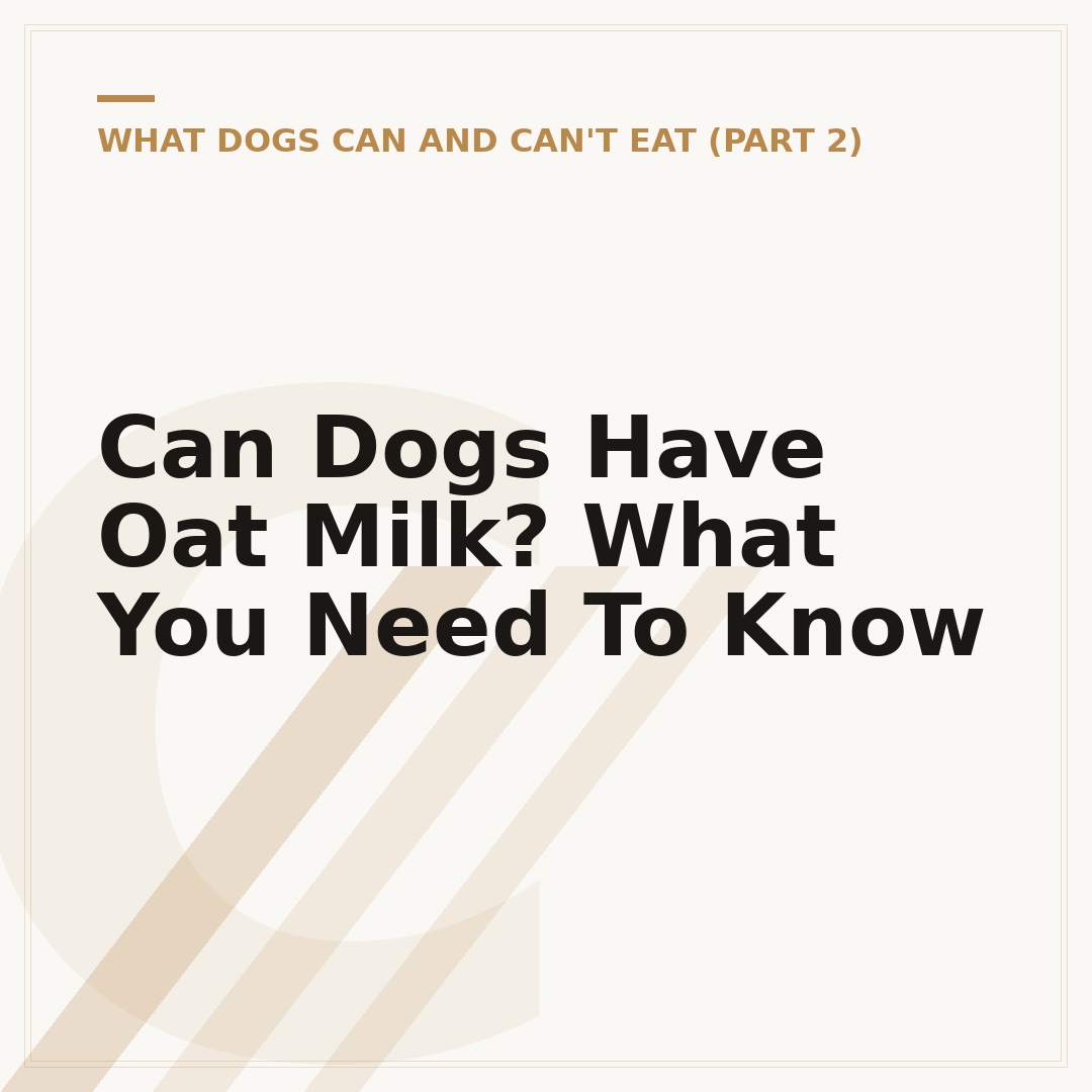 Can Dogs Have Oat Milk? What You Need To Know
