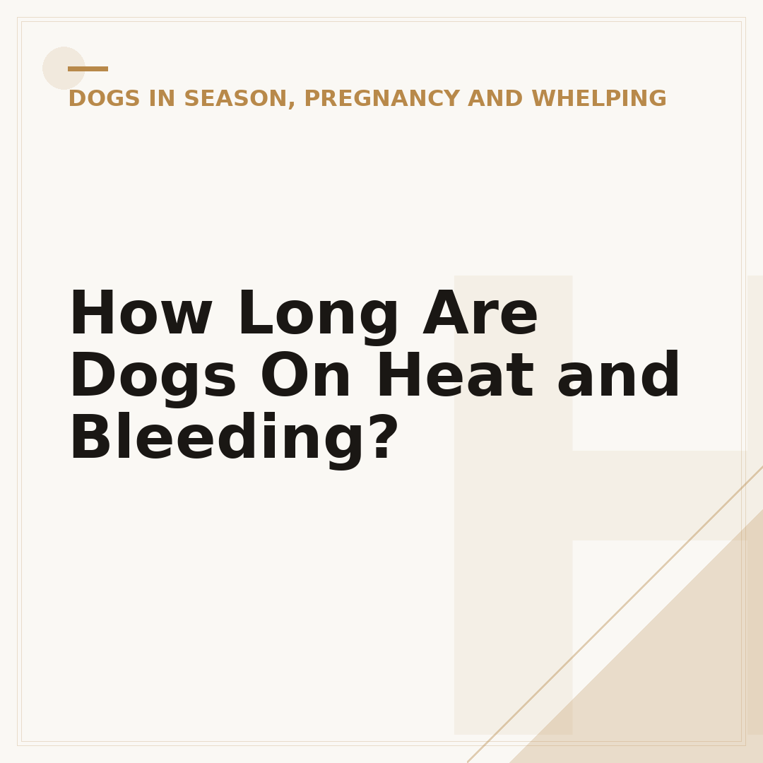How Long Are Dogs On Heat and Bleeding?