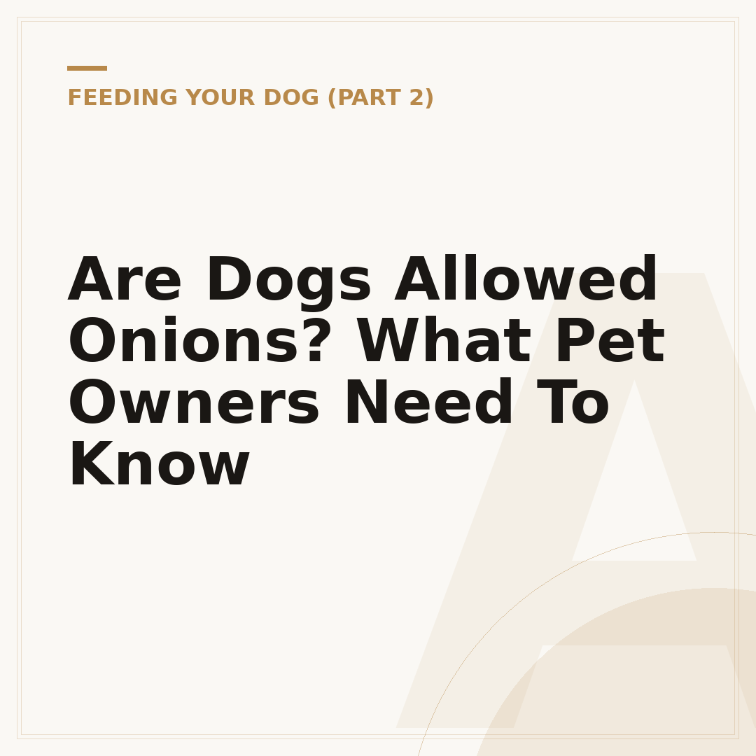 Are Dogs Allowed Onions? What Pet Owners Need To Know