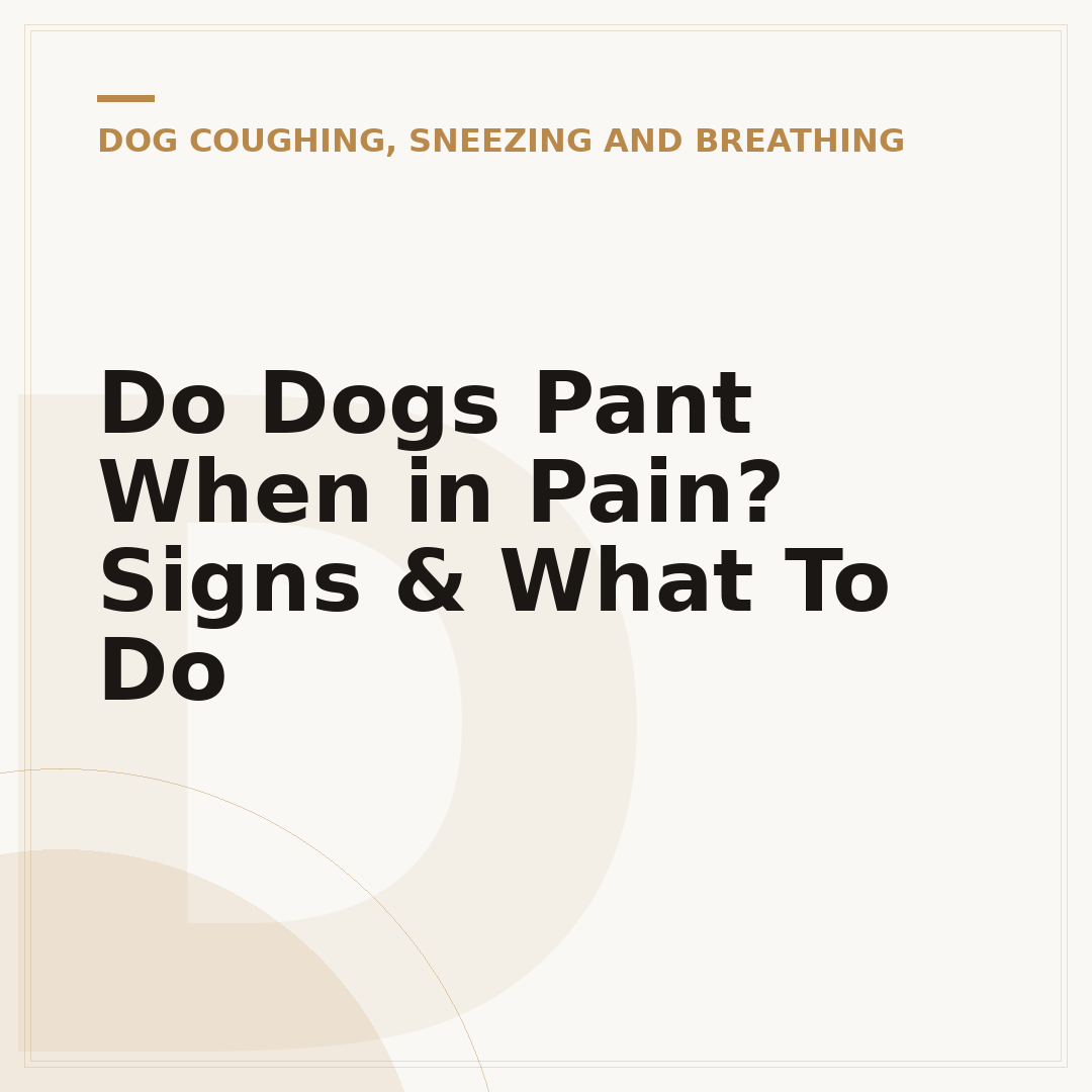 Do Dogs Pant When in Pain? Signs & What To Do