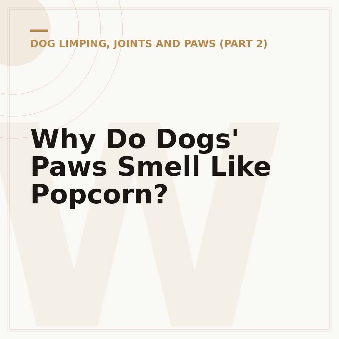 Why Do Dogs' Paws Smell Like Popcorn?