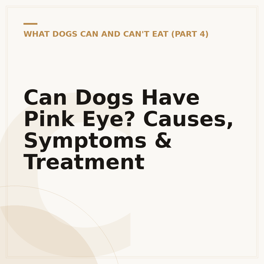 Can Dogs Have Pink Eye? Causes, Symptoms & Treatment