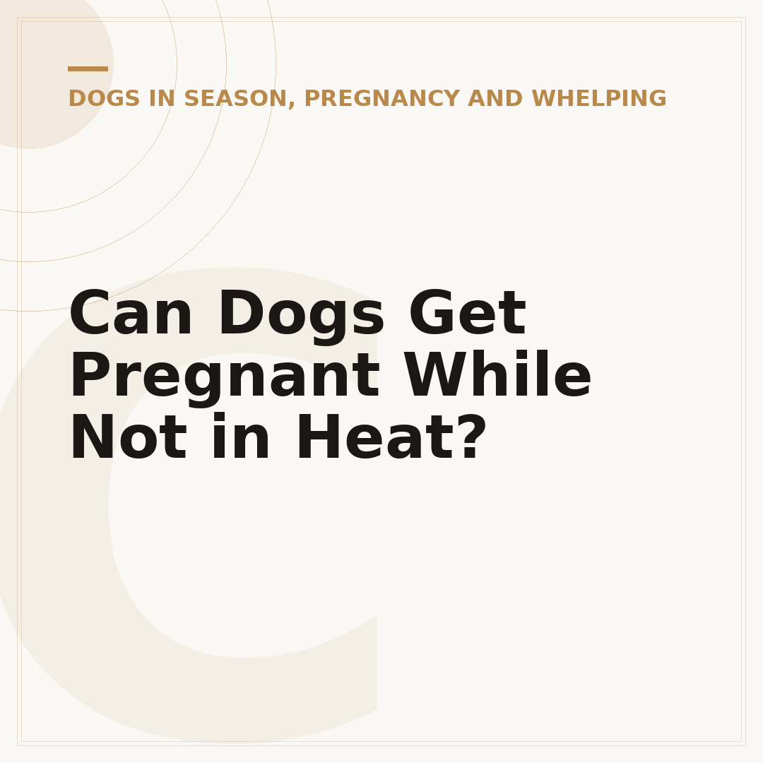 Can Dogs Get Pregnant While Not in Heat?