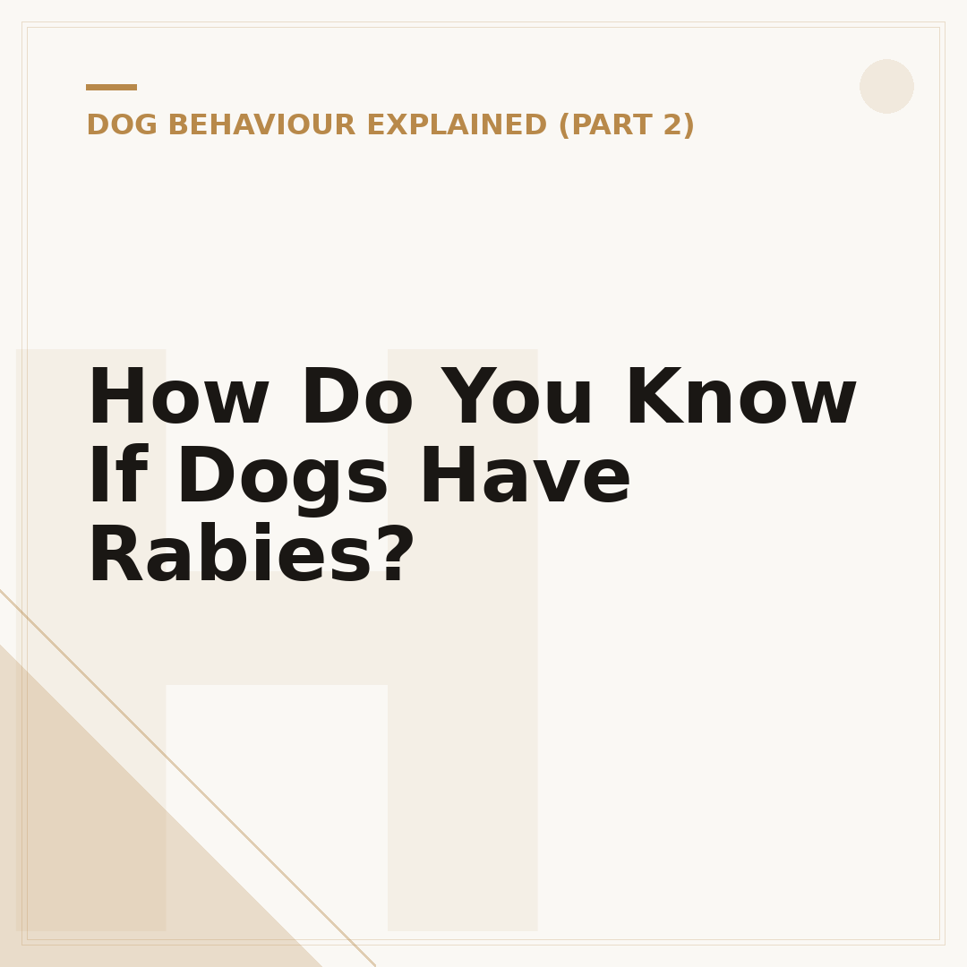 How Do You Know If Dogs Have Rabies?