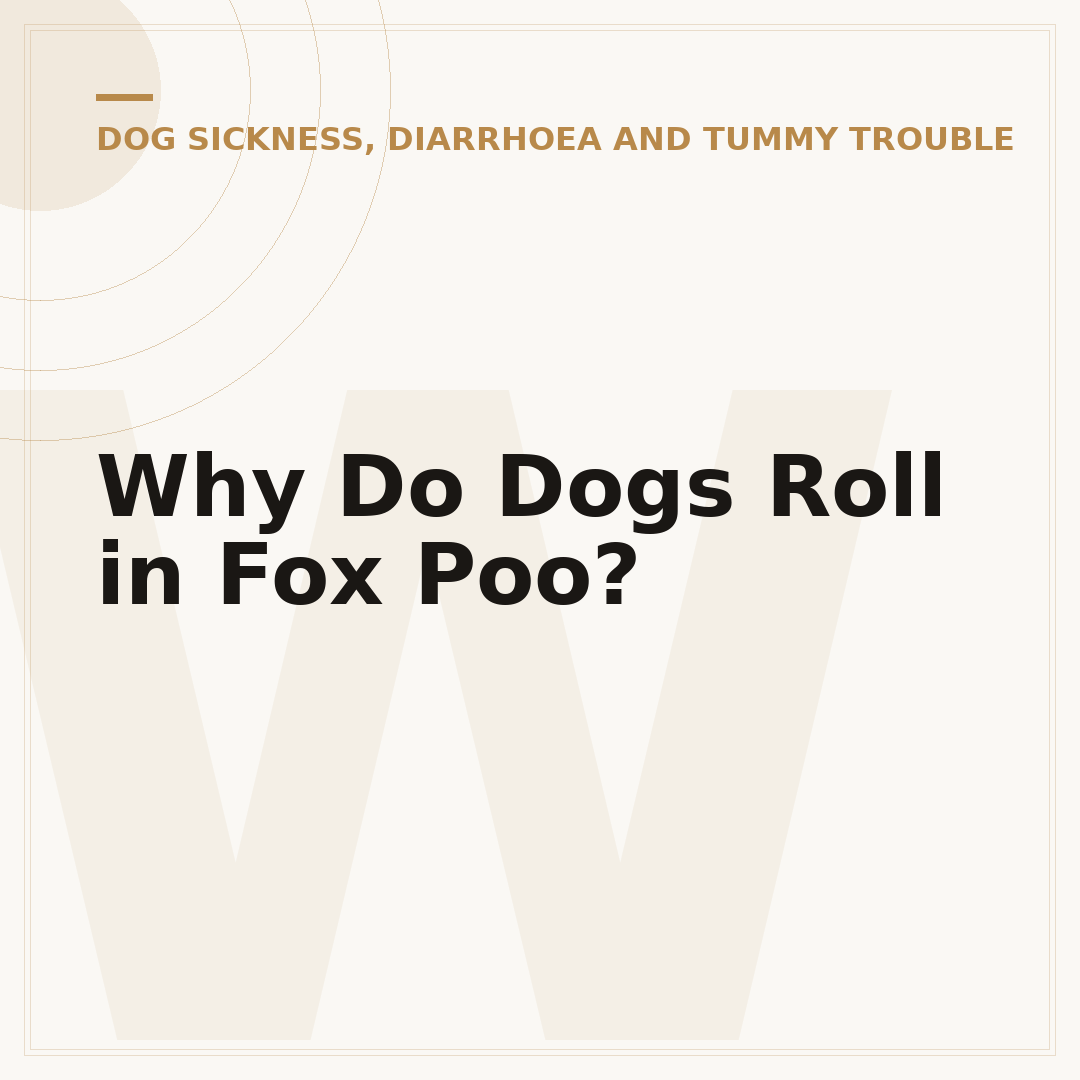Why Do Dogs Roll in Fox Poo?
