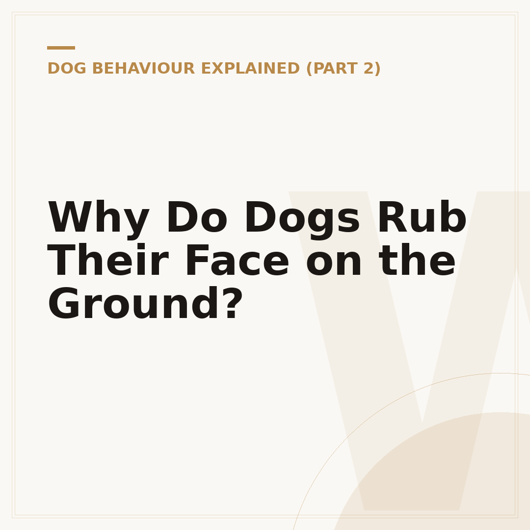 Why Do Dogs Rub Their Face on the Ground?