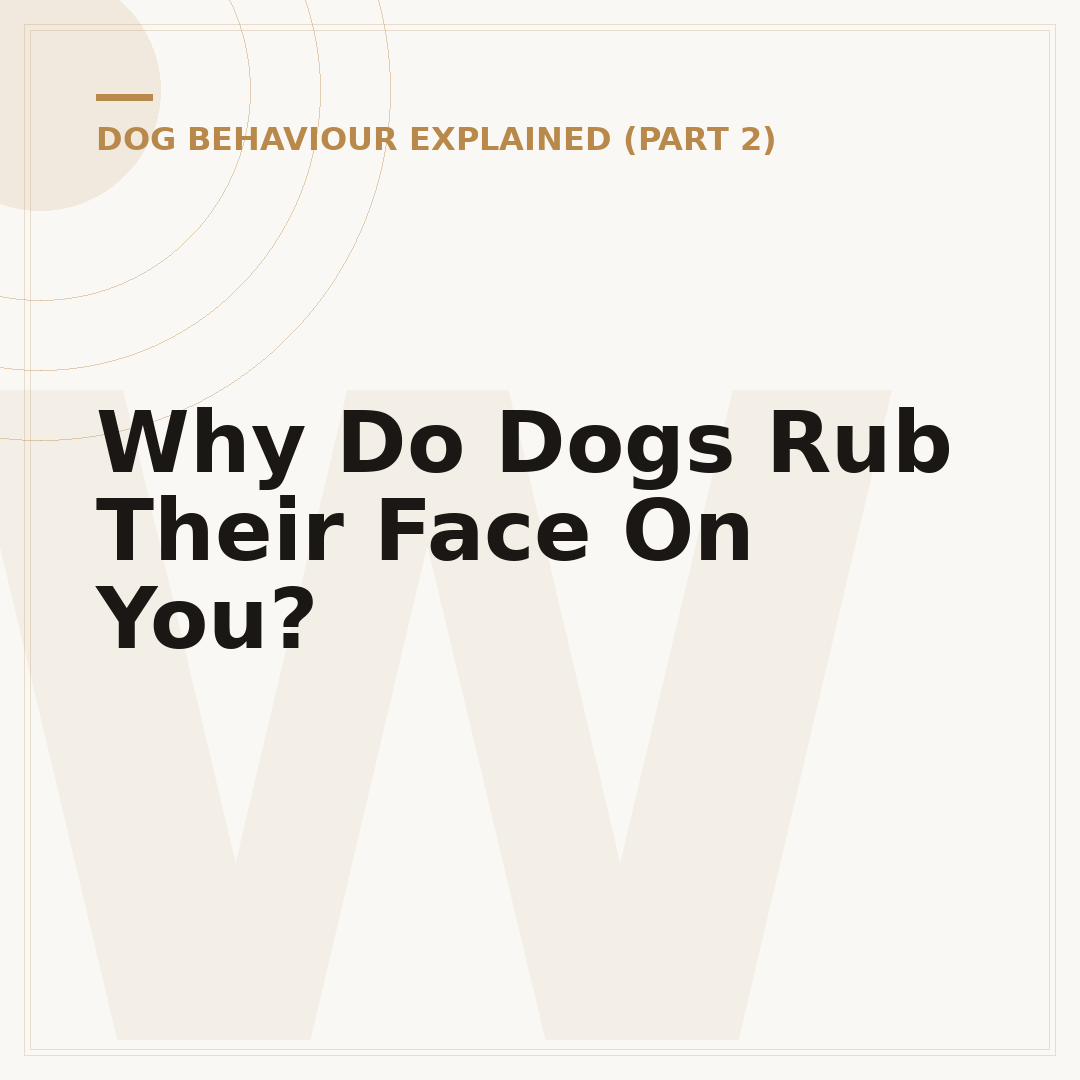 Why Do Dogs Rub Their Face On You?