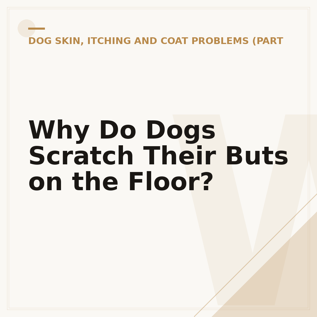 Why Do Dogs Scratch Their Buts on the Floor?