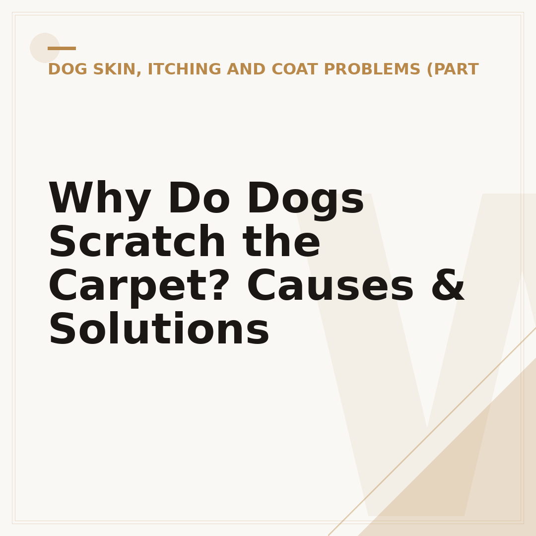 Why Do Dogs Scratch the Carpet? Causes & Solutions