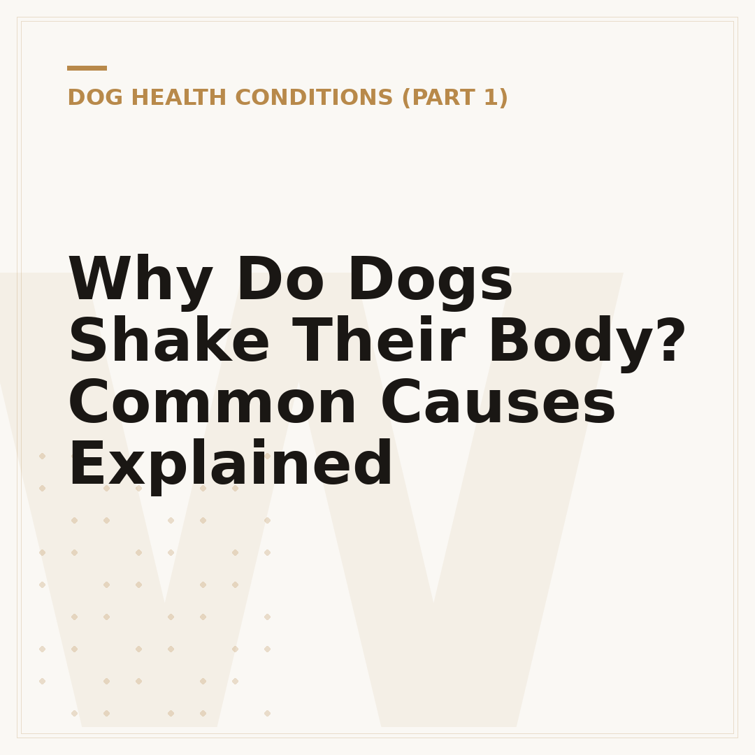 Why Do Dogs Shake Their Body? Common Causes Explained