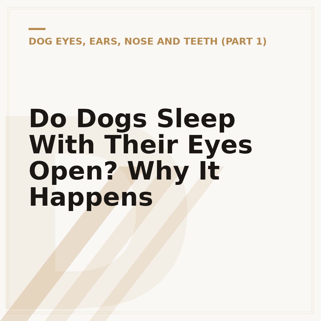 Do Dogs Sleep With Their Eyes Open? Why It Happens