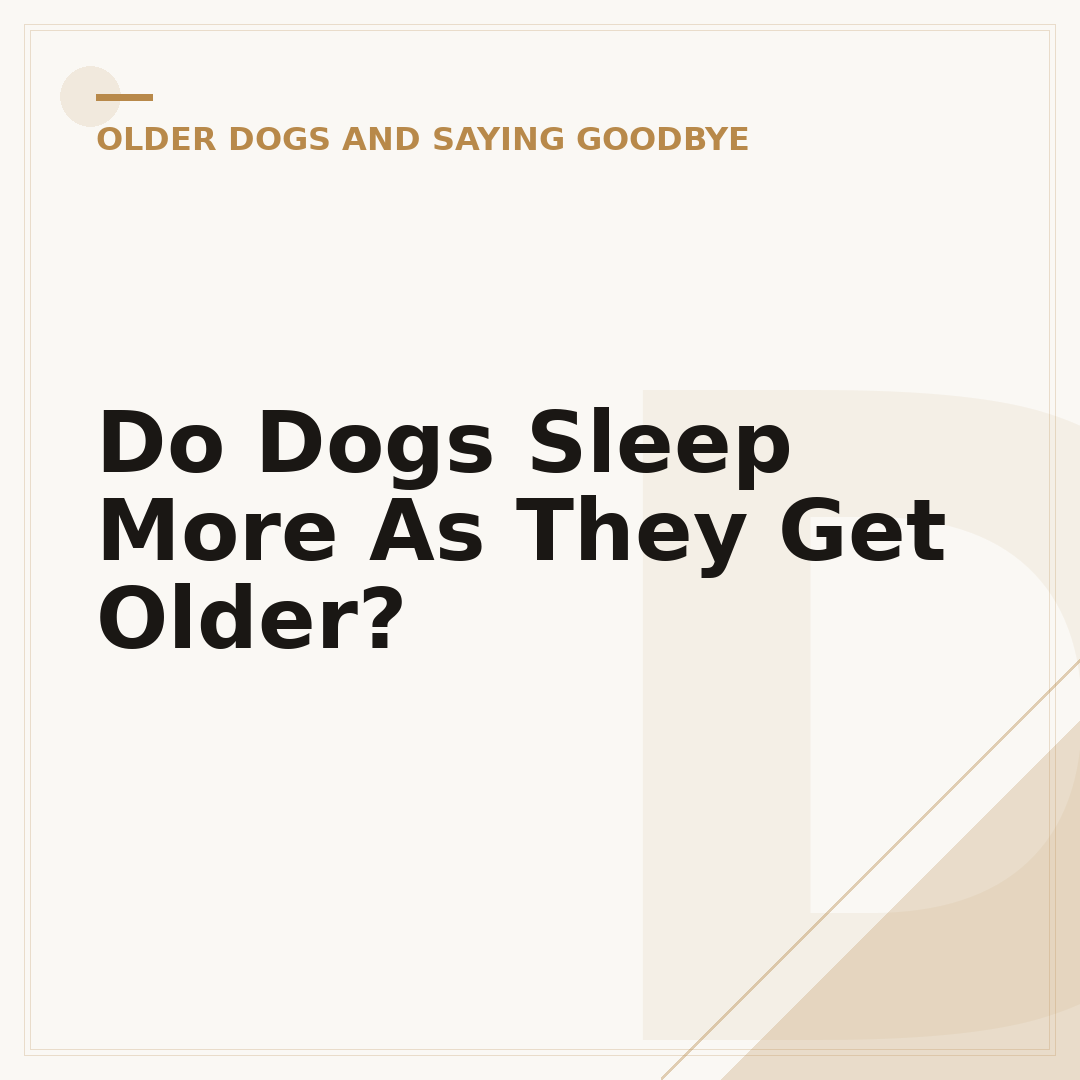 Do Dogs Sleep More As They Get Older?