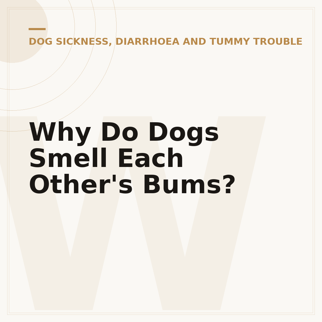 Why Do Dogs Smell Each Other's Bums?