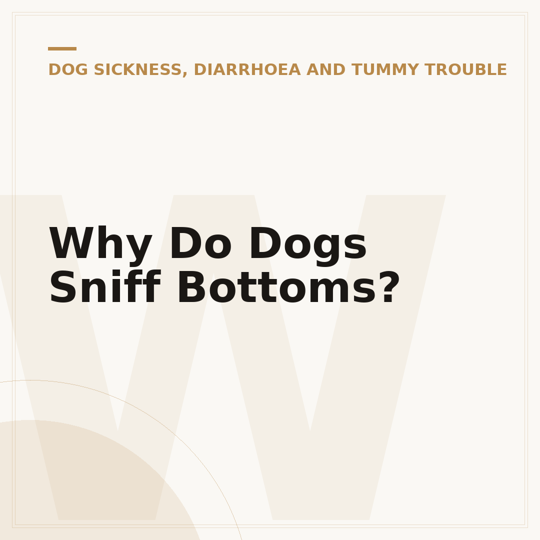 Why Do Dogs Sniff Bottoms?