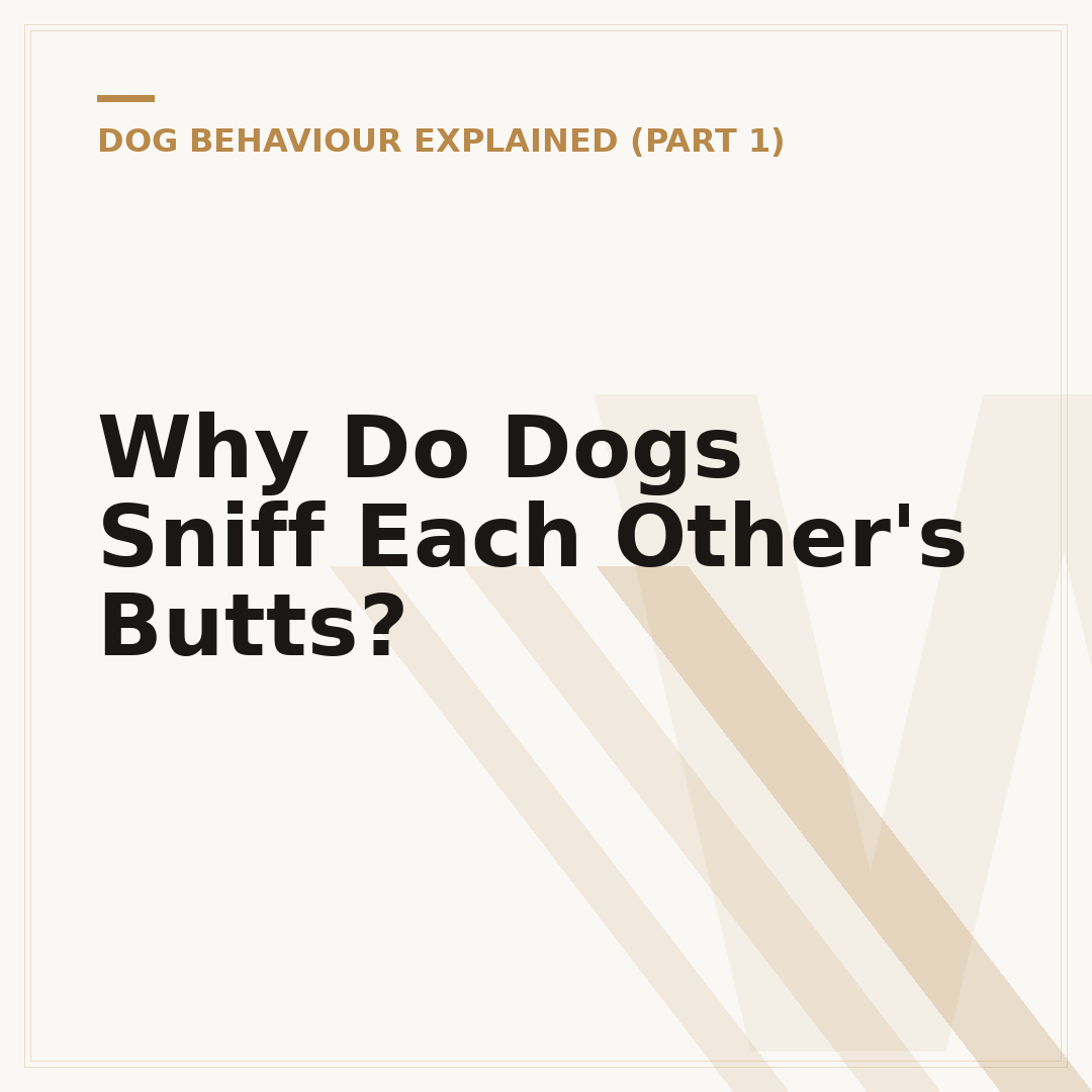 Why Do Dogs Sniff Each Other's Butts?